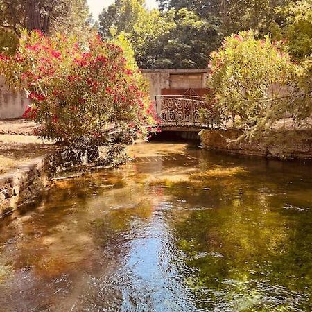 Appartement Fontaine De Vaucluse Eksteriør bilde